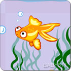 СLittle Goldfish